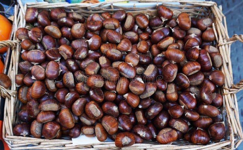 Some good made chestnut for sell. Some good made chestnut for sell.