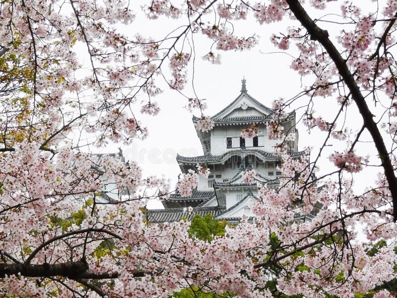 Castello di Himeji durante Sakura fotografia stock Castello di Himeji durante Sakura fotografia stock