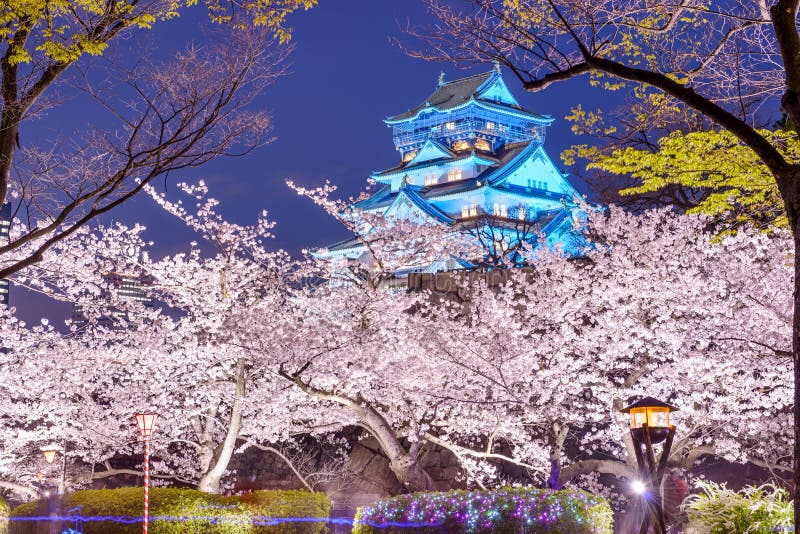 Osaka, Japan at Osaka, Castle with cherry blossoms. Osaka, Japan at Osaka, Castle with cherry blossoms.