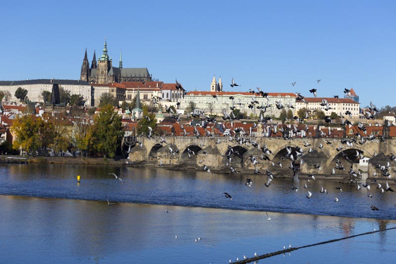 Castello di Praga di autunno variopinto e Charles Bridge gotici con Lesser Town nel giorno soleggiato, repubblica Ceca fotografie stock Castello di Praga di autunno variopinto e Charles Bridge gotici con Lesser Town nel giorno soleggiato, repubblica Ceca fotografie stock