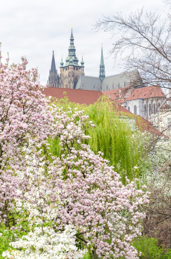 Castello di Praga nel tempo di primavera fotografia stock libera da diritti Castello di Praga nel tempo di primavera fotografia stock libera da diritti