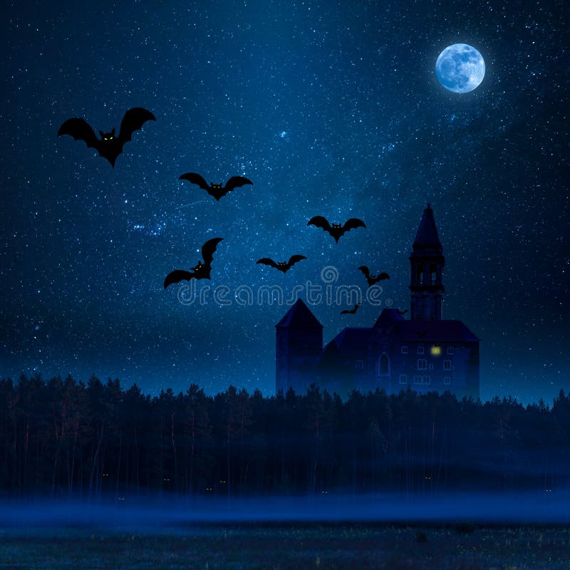 Castello misterioso e oscuro nella foresta fotografia stock