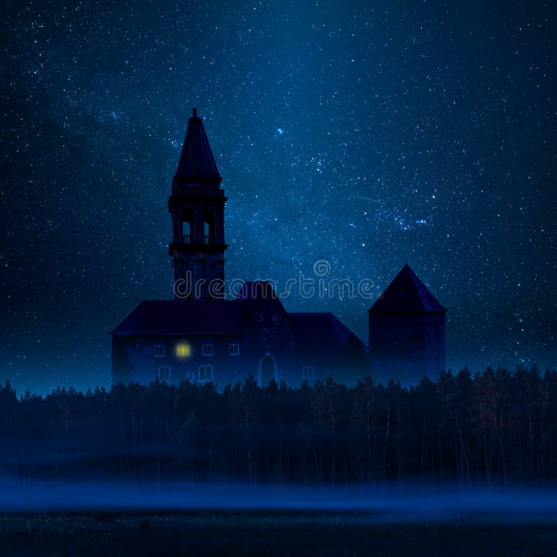 Castello scuro mistico in foresta immagine stock