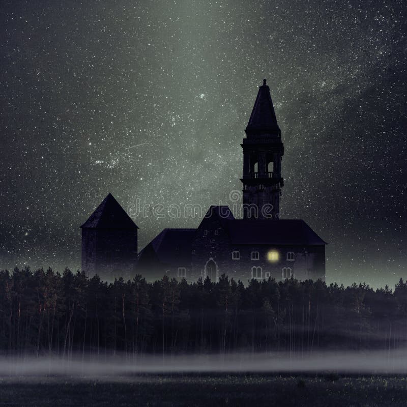 Castello scuro mistico in foresta fotografia stock libera da diritti