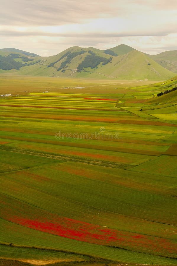 Castelluccio di Norcia