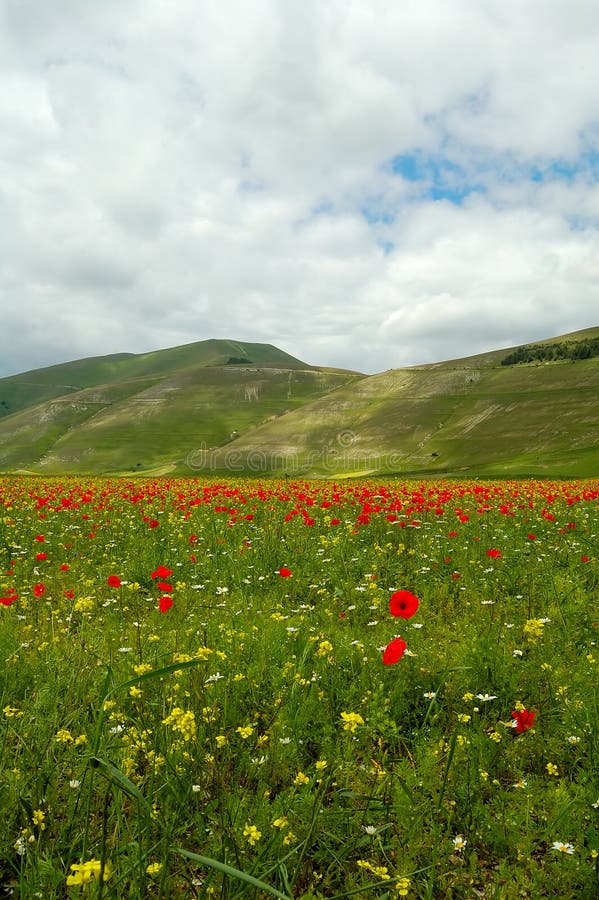 Castelluccio di Norcia