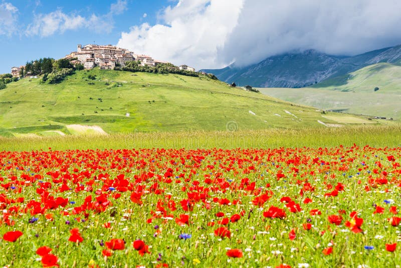 castelluccio di norcia стоковое фото rf castelluccio di norcia стоковое фото rf