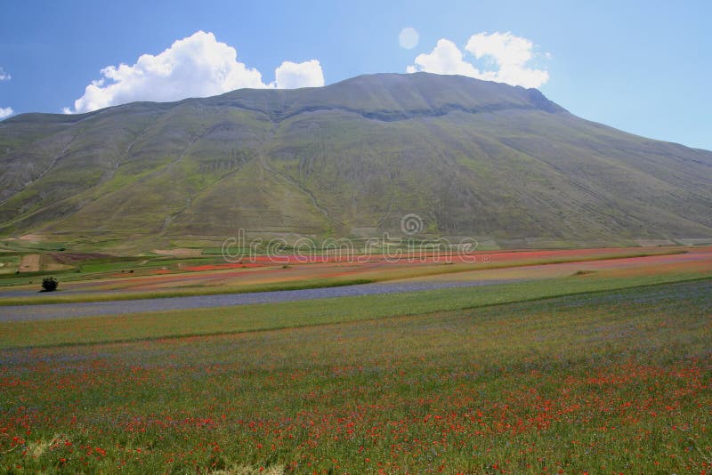 Castelluccio Di Norcia/bergenmening stock fotografie Castelluccio Di Norcia/bergenmening stock fotografie