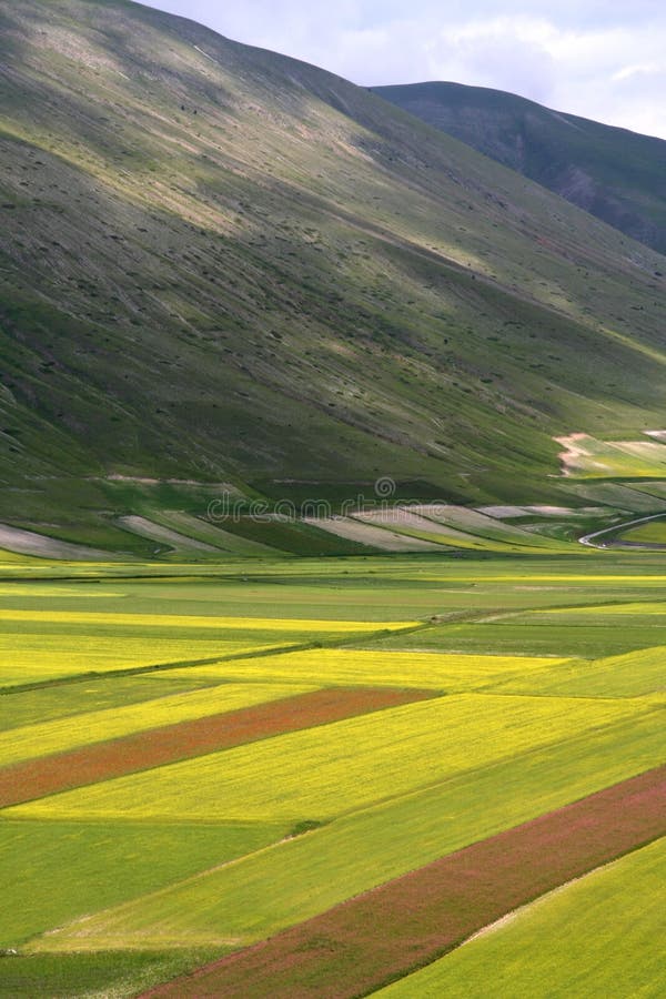 Castelluccio /spring landscape