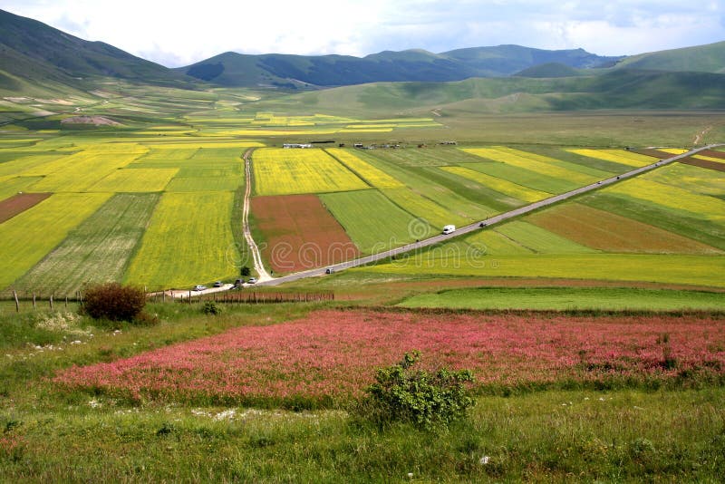 Castelluccio /spring landscape