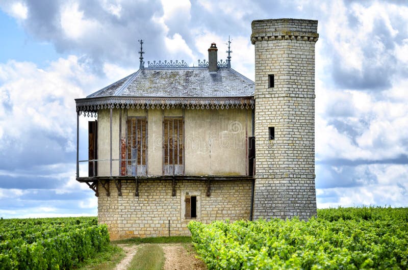 Castelo com vinhedos, Borgonha, France fotos de stock royalty free Castelo com vinhedos, Borgonha, France fotos de stock royalty free