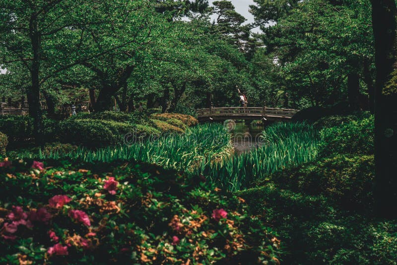 Castelo da ponte do jardim de Japão imagem de stock Castelo da ponte do jardim de Japão imagem de stock