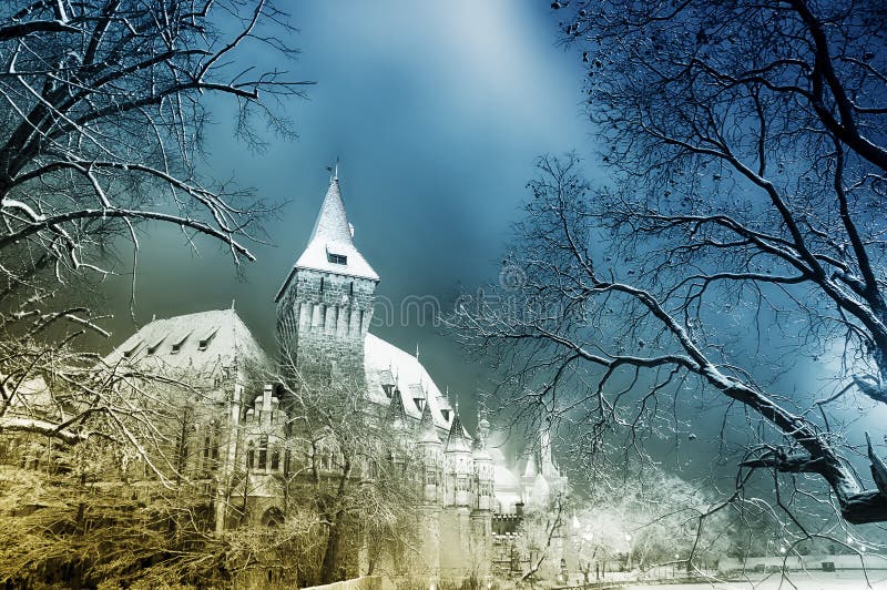 Castelo do conto de fadas na noite imagens de stock Castelo do conto de fadas na noite imagens de stock