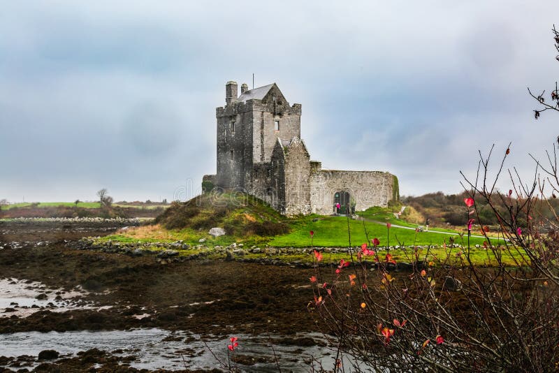 Castillo de Dunguaire en la orilla de Océano Atlántico en Irlanda foto de archivo libre de regalías Castillo de Dunguaire en la orilla de Océano Atlántico en Irlanda foto de archivo libre de regalías