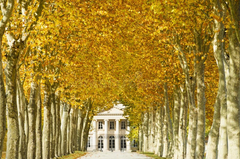 Castillo francés Margaux en Burdeos, Francia imágenes de archivo libres de regalías