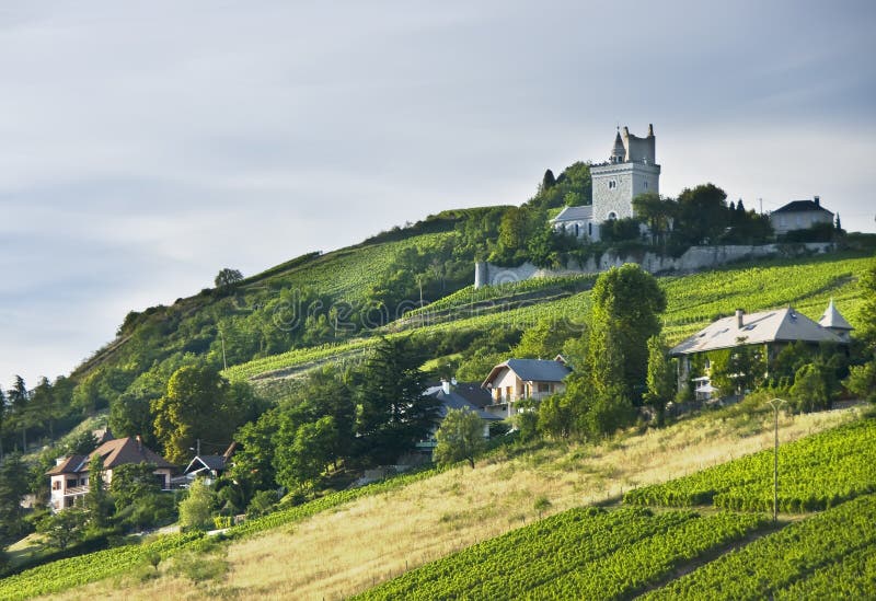 Castillo francés y viñedos foto de archivo