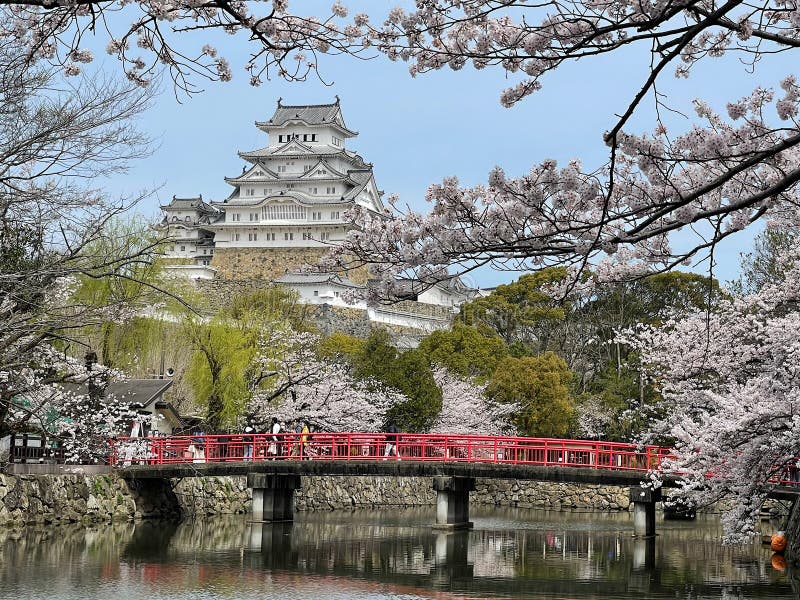 The Himeji castle is nicknamed â€œWhite Heronâ€ due in part to its beautiful and elegant appearance.   In 1333, the Akamatsu family constructed a fort in Himeyama while advancing soldiers to Kyo. In 1346, Sadanori Akamatsu built a full-scale castle in Himeyama, which is located on top of hill.  In 1580, Hideyoshi erected a three-story castle tower. The castle completed the castle the following year. Centuries past with a series of lords ruling. Eventually, the castle tower was designated a National treasure & x28;1931& x29; and a new national treasure & x28;1951& x29;. And years later, the castle underwent major construction & x28;1956-1964& x29;. Finally, after being registered as a UNESCO World Cultural Heritage Site & x28;1993& x29;, the castle was repaired & x28;2009& x29;, and opened its doors for the public & x28;2015& x29;. The Himeji castle is nicknamed â€œWhite Heronâ€ due in part to its beautiful and elegant appearance.   In 1333, the Akamatsu family constructed a fort in Himeyama while advancing soldiers to Kyo. In 1346, Sadanori Akamatsu built a full-scale castle in Himeyama, which is located on top of hill.  In 1580, Hideyoshi erected a three-story castle tower. The castle completed the castle the following year. Centuries past with a series of lords ruling. Eventually, the castle tower was designated a National treasure & x28;1931& x29; and a new national treasure & x28;1951& x29;. And years later, the castle underwent major construction & x28;1956-1964& x29;. Finally, after being registered as a UNESCO World Cultural Heritage Site & x28;1993& x29;, the castle was repaired & x28;2009& x29;, and opened its doors for the public & x28;2015& x29;.