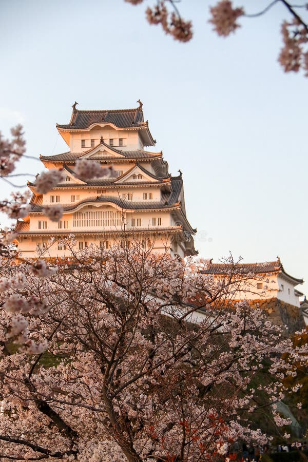 The Himeji castle is nicknamed â€œWhite Heronâ€ due in part to its beautiful and elegant appearance.   In 1333, the Akamatsu family constructed a fort in Himeyama while advancing soldiers to Kyo. In 1346, Sadanori Akamatsu built a full-scale castle in Himeyama, which is located on top of hill.  In 1580, Hideyoshi erected a three-story castle tower. The castle completed the castle the following year. Centuries past with a series of lords ruling. Eventually, the castle tower was designated a National treasure & x28;1931& x29; and a new national treasure & x28;1951& x29;. And years later, the castle underwent major construction & x28;1956-1964& x29;. Finally, after being registered as a UNESCO World Cultural Heritage Site & x28;1993& x29;, the castle was repaired & x28;2009& x29;, and opened its doors for the public & x28;2015& x29;. The Himeji castle is nicknamed â€œWhite Heronâ€ due in part to its beautiful and elegant appearance.   In 1333, the Akamatsu family constructed a fort in Himeyama while advancing soldiers to Kyo. In 1346, Sadanori Akamatsu built a full-scale castle in Himeyama, which is located on top of hill.  In 1580, Hideyoshi erected a three-story castle tower. The castle completed the castle the following year. Centuries past with a series of lords ruling. Eventually, the castle tower was designated a National treasure & x28;1931& x29; and a new national treasure & x28;1951& x29;. And years later, the castle underwent major construction & x28;1956-1964& x29;. Finally, after being registered as a UNESCO World Cultural Heritage Site & x28;1993& x29;, the castle was repaired & x28;2009& x29;, and opened its doors for the public & x28;2015& x29;.