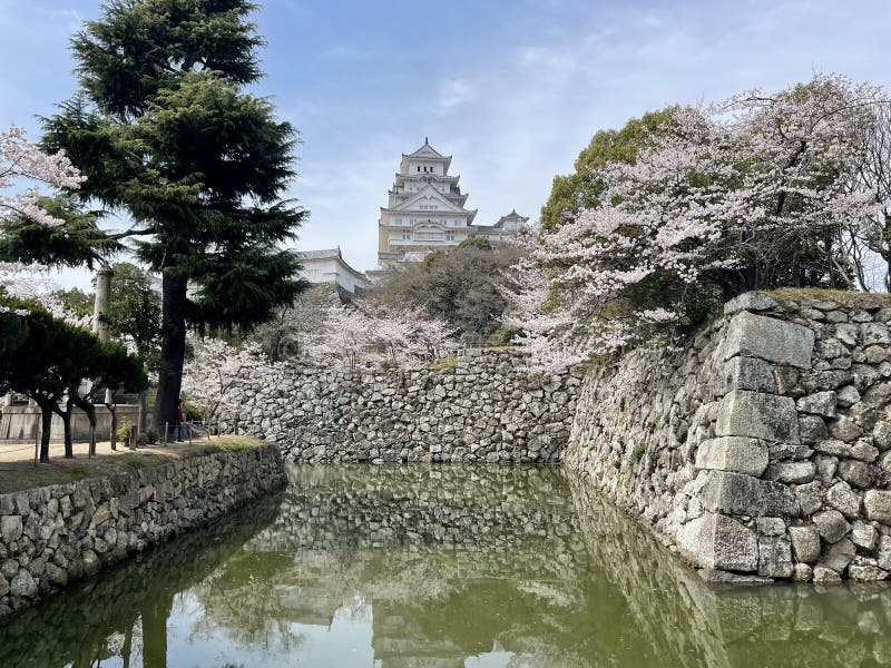 The Himeji castle is nicknamed â€œWhite Heronâ€ due in part to its beautiful and elegant appearance.   In 1333, the Akamatsu family constructed a fort in Himeyama while advancing soldiers to Kyo. In 1346, Sadanori Akamatsu built a full-scale castle in Himeyama, which is located on top of hill.  In 1580, Hideyoshi erected a three-story castle tower. The castle completed the castle the following year. Centuries past with a series of lords ruling. Eventually, the castle tower was designated a National treasure & x28;1931& x29; and a new national treasure & x28;1951& x29;. And years later, the castle underwent major construction & x28;1956-1964& x29;. Finally, after being registered as a UNESCO World Cultural Heritage Site & x28;1993& x29;, the castle was repaired & x28;2009& x29;, and opened its doors for the public & x28;2015& x29;. The Himeji castle is nicknamed â€œWhite Heronâ€ due in part to its beautiful and elegant appearance.   In 1333, the Akamatsu family constructed a fort in Himeyama while advancing soldiers to Kyo. In 1346, Sadanori Akamatsu built a full-scale castle in Himeyama, which is located on top of hill.  In 1580, Hideyoshi erected a three-story castle tower. The castle completed the castle the following year. Centuries past with a series of lords ruling. Eventually, the castle tower was designated a National treasure & x28;1931& x29; and a new national treasure & x28;1951& x29;. And years later, the castle underwent major construction & x28;1956-1964& x29;. Finally, after being registered as a UNESCO World Cultural Heritage Site & x28;1993& x29;, the castle was repaired & x28;2009& x29;, and opened its doors for the public & x28;2015& x29;.