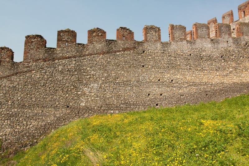 Castle with flowers