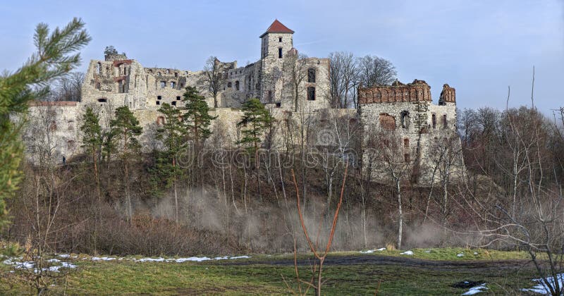 Castle ruins Tenczyn