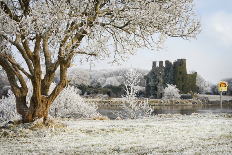 Castle ruins and trees covered by frost