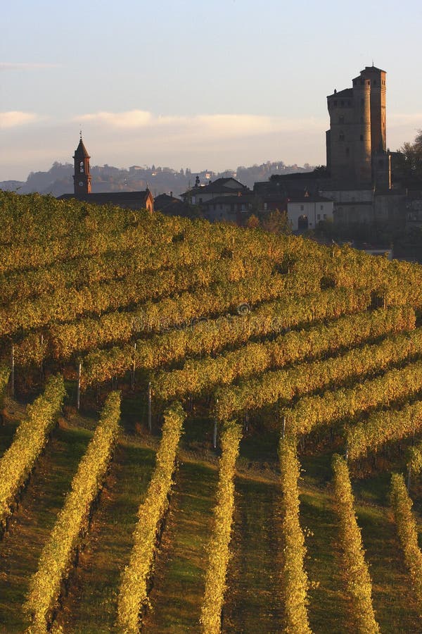 Castle of Serralunga d Alba in the Langhe