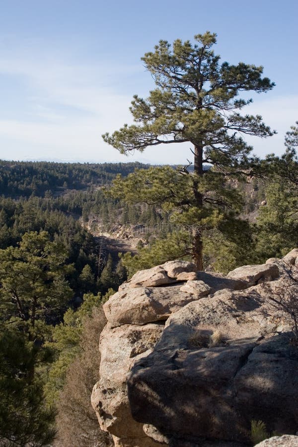 Castlewood canyon 3