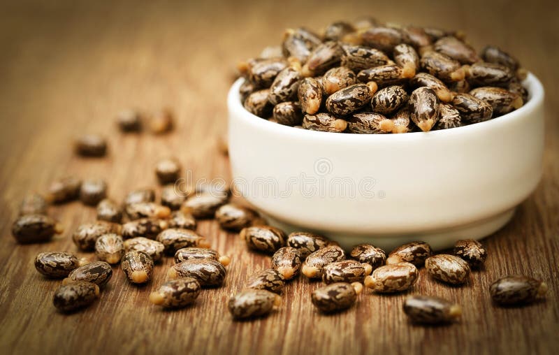 Castor beans in a ceramic bowl stock images