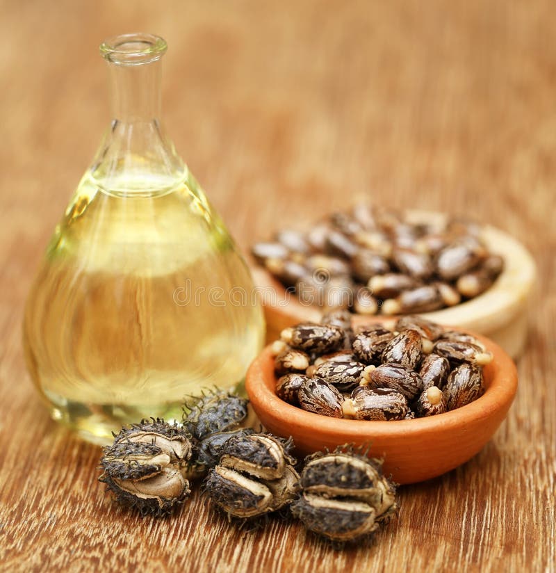 Castor beans and oil in a glass jar