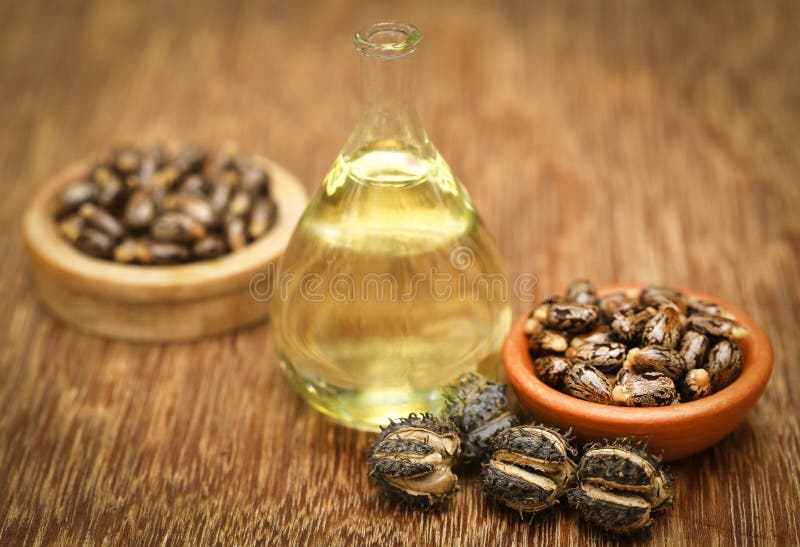 Castor beans and oil stock image