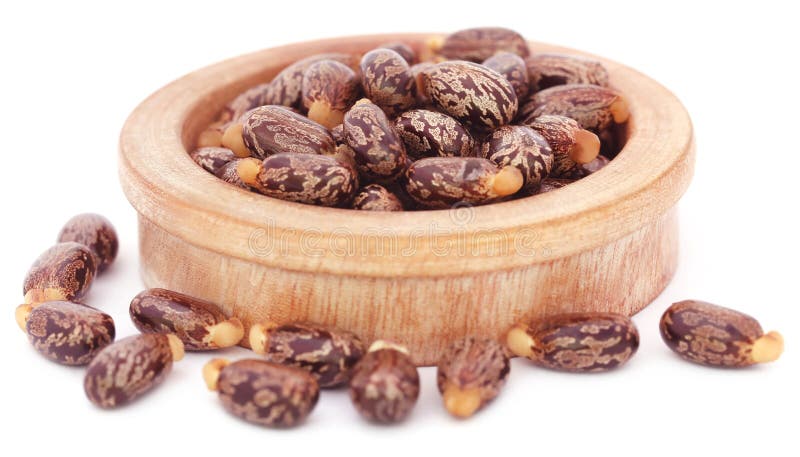 Castor beans in a wooden bowl over white background