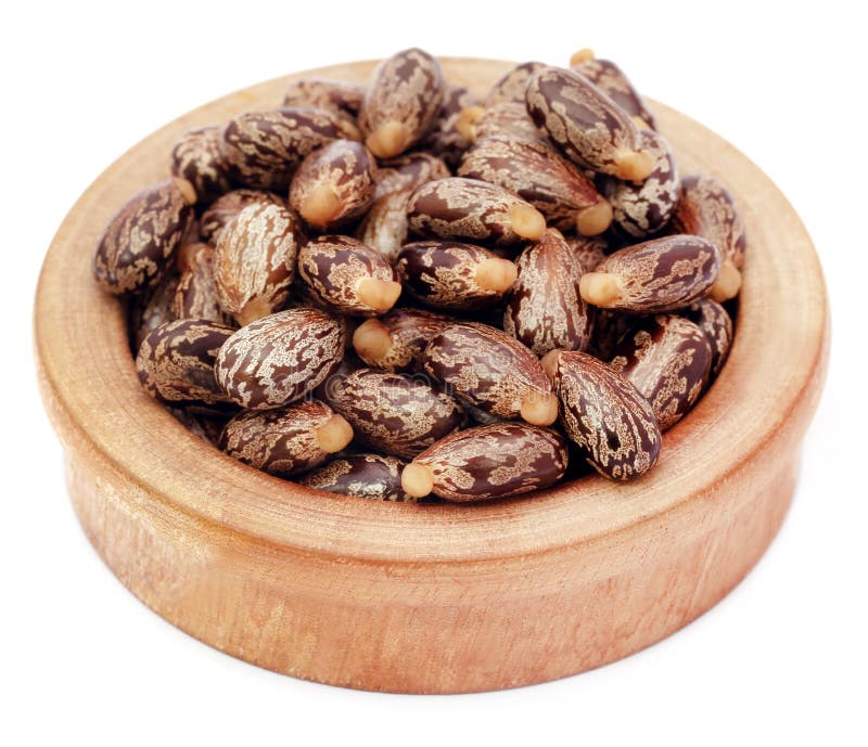 Castor beans in a wooden bowl stock image