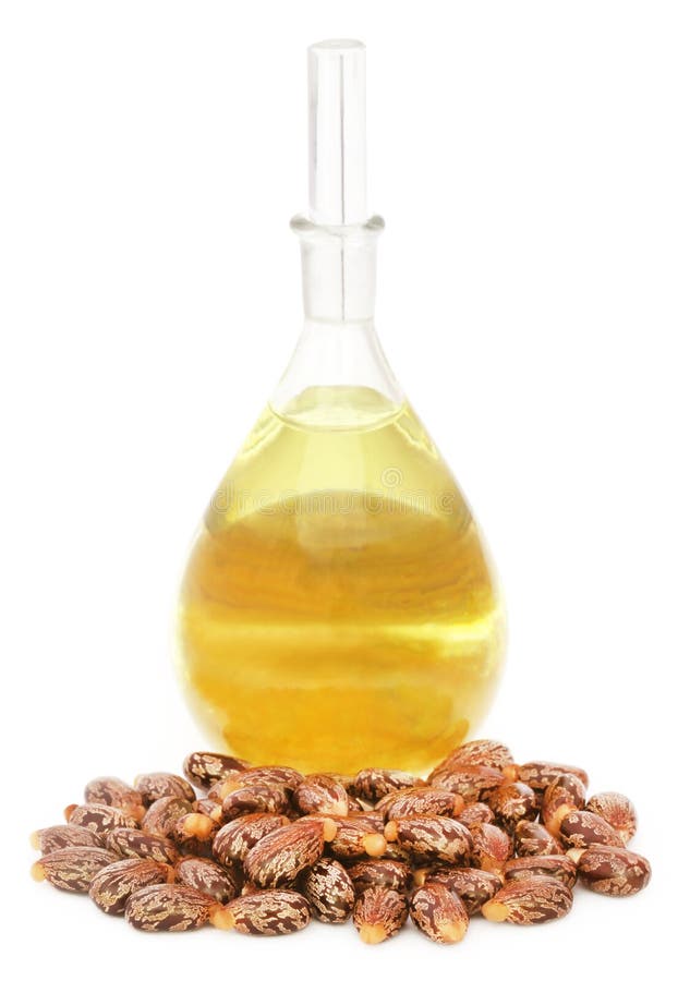 Castor oil with beans over white background