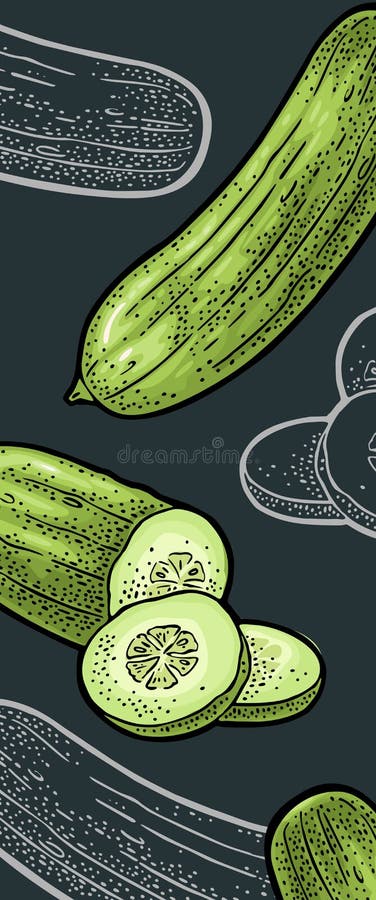 Castraveți verzi proaspeți, întregi felii. gravare vintage vector royalty free illustration