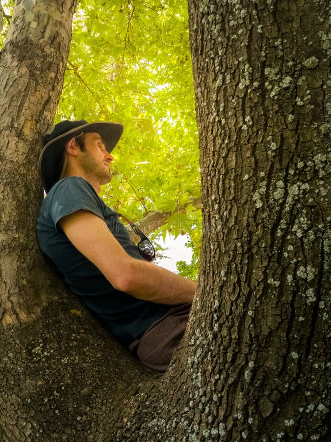 Casual guy relaxing on the tree branch in a park on a sunny day stock image