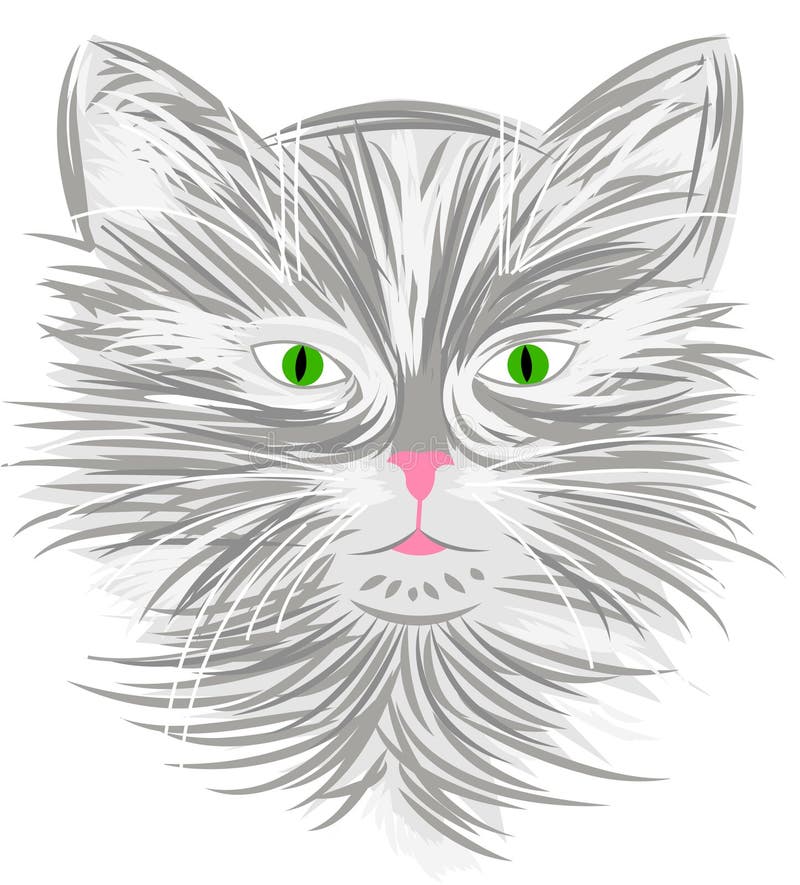 Hand drawn cat stock vector. Illustration of animal, freehand - 31642445