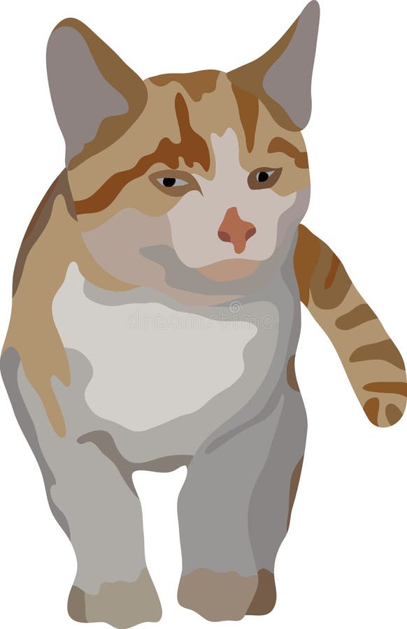 Cat stock illustration