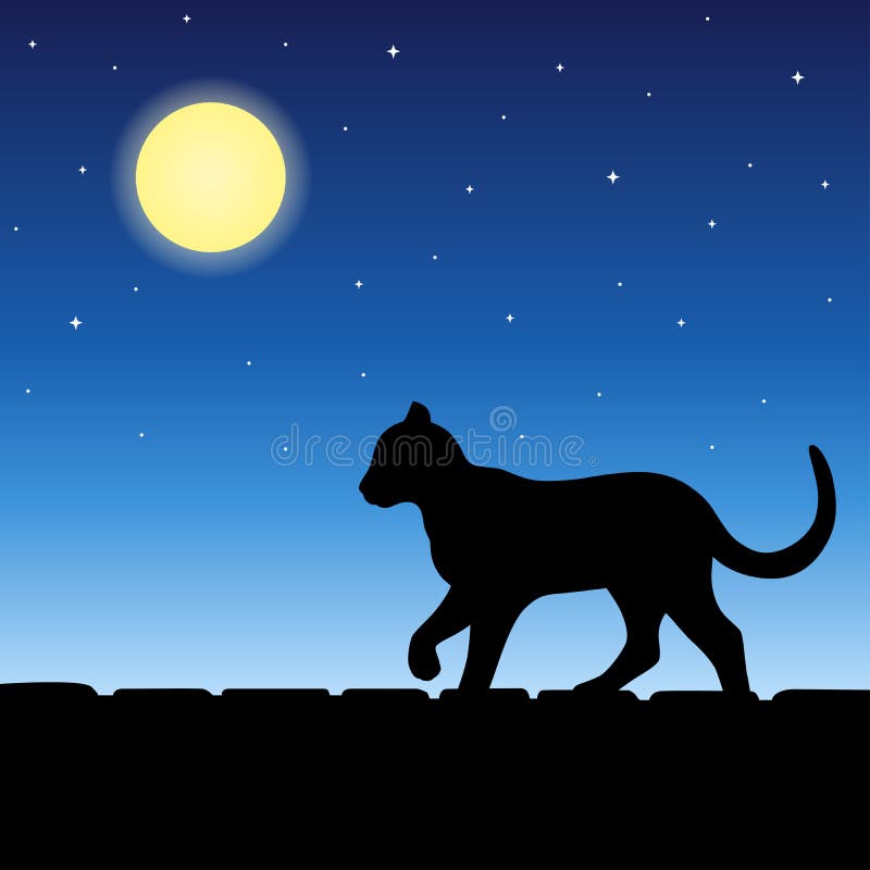 Cat Animal on Roof Silhouette Blue Night Moon Illustration Stock Vector -  Illustration of outline, frame: 69711318