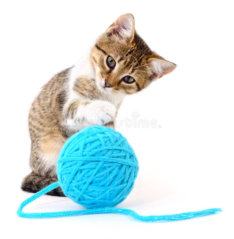 Cat with ball of yarn stock photo. Image of thread, funny 31907454