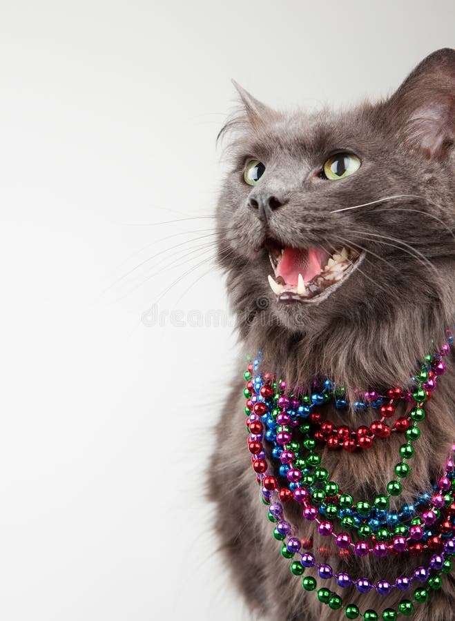 Cat in Beads