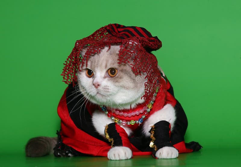 Beautiful Clothes for Woman in Sahara Stock Photo Image of islam