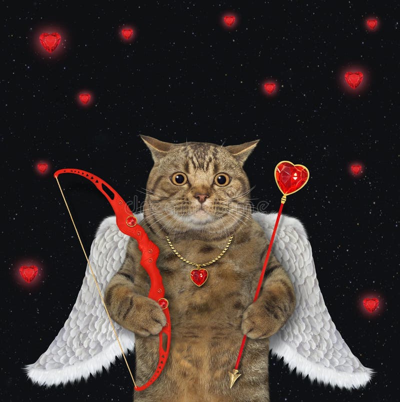Cats With Angel Wings