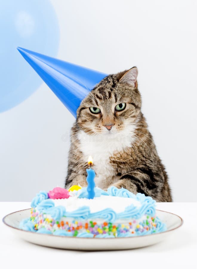 96,070 Happy Birthday Cake Stock Photos - Free & Royalty-Free Stock Photos  from Dreamstime