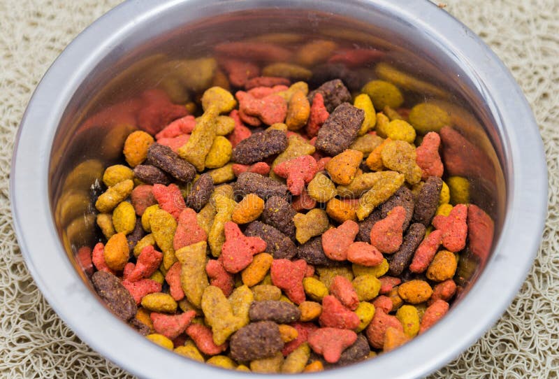 Cat Biscuits stock photo. Image of view, small, dish 41442524