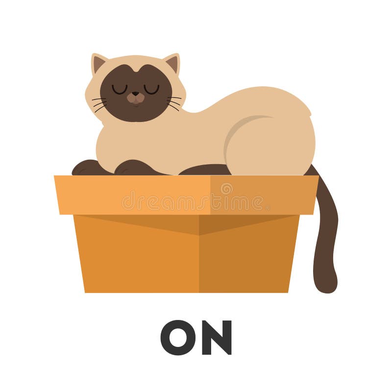 Cat and box. 