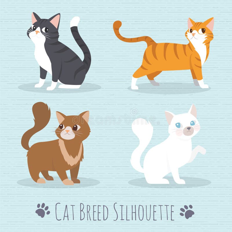 Cat Set, with white cat, grey cat, orange cat, brown cat Cute cats flat icons. Vector Illustration Cartoon. Cat Set, with white cat, grey cat, orange cat, brown cat Cute cats flat icons. Vector Illustration Cartoon