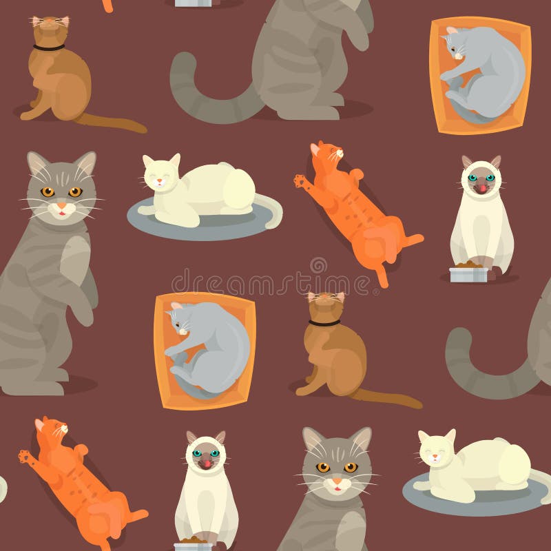 Kočka plemena roztomilý kotě domácí zvíře návrh malby roztomilý zvíře znak bezešvý vzor ilustrace.
