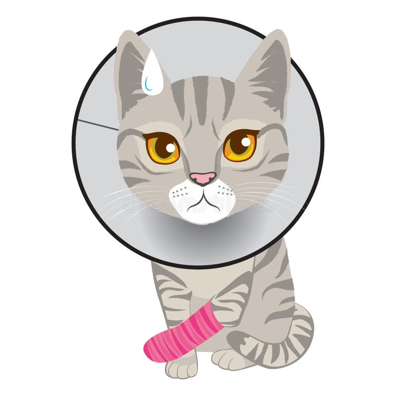 Cat Broken Leg ilustração royalty free Cat Broken Leg ilustração royalty free