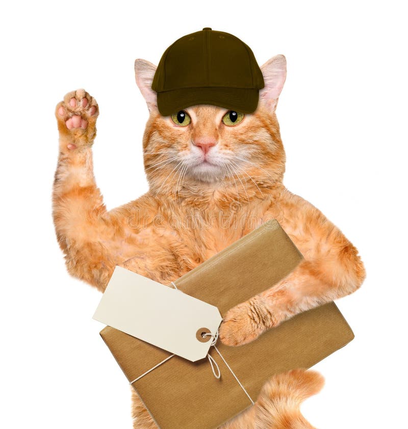 Cat with brown paper parcels delivery. royalty free stock images